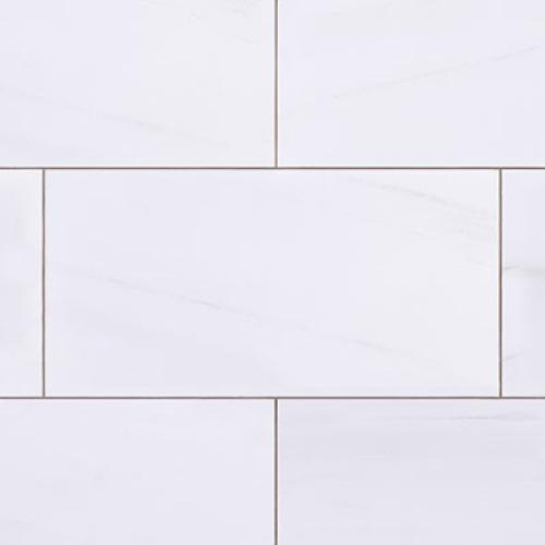 9x18 Bianco Dolomite Marble Subway Tile Polished